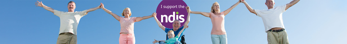 ndis banner